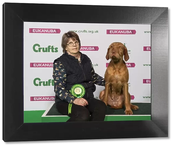 Crufts 2019 - Best of Breed  /  Gundog