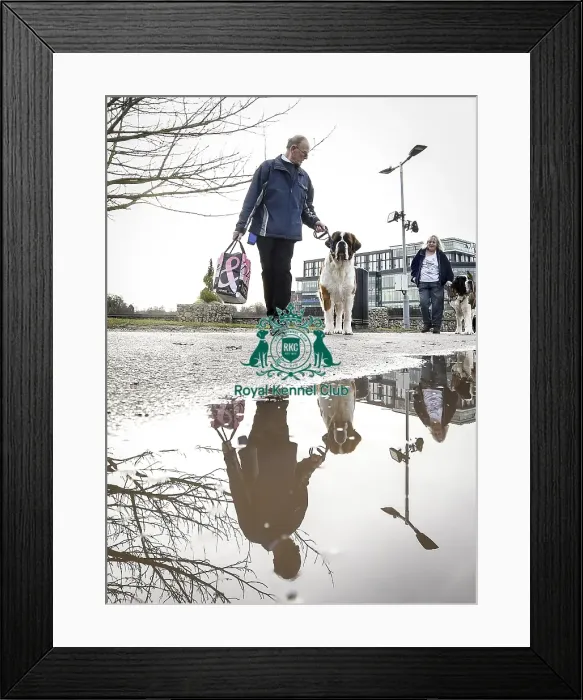 Framed Print : Crufts 2019 - Day Two, NEC, UK - 8 Mar 2019 Framed Print : Crufts 2019 - Day Two, NEC, UK - 8 Mar 2019