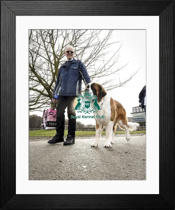 Framed Print : Crufts 2019 - Day Two, NEC, UK - 8 Mar 2019 Framed Print : Crufts 2019 - Day Two, NEC, UK - 8 Mar 2019