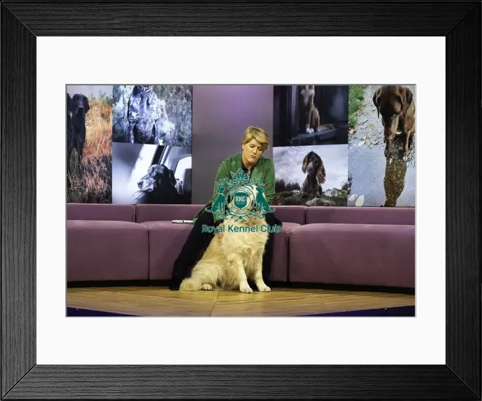 Framed Print : Crufts 2019 - Day One, NEC, UK - 7 Mar 2019 Framed Print : Crufts 2019 - Day One, NEC, UK - 7 Mar 2019