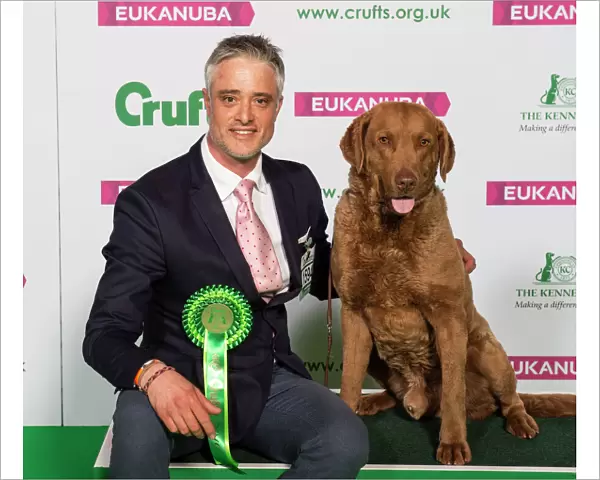 Crufts 2019 - Best of Breed  /  Gundog