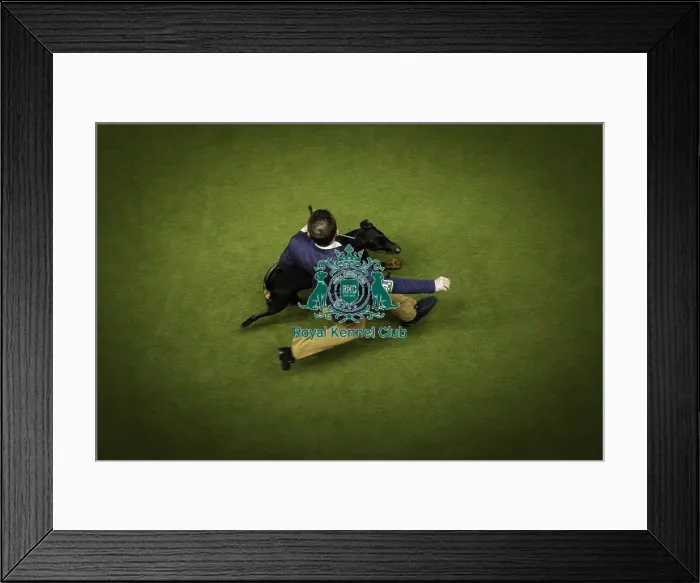 Framed Print : Crufts 2019 - Day Two, NEC, UK - 8 Mar 2019