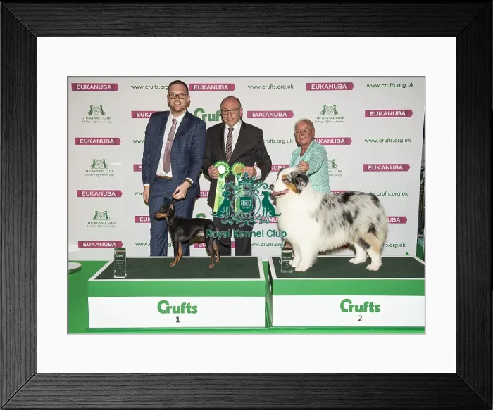 Framed Print : Crufts 2019 - Day One, NEC, UK - 7 Mar 2019 Framed Print : Crufts 2019 - Day One, NEC, UK - 7 Mar 2019