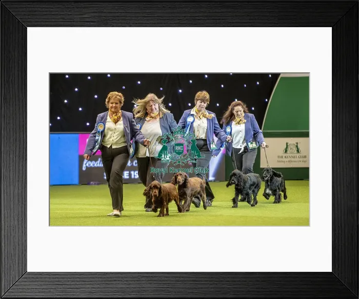 Framed Print : Crufts 2019 - Day Two, NEC, UK - 8 Mar 2019 Framed Print : Crufts 2019 - Day Two, NEC, UK - 8 Mar 2019