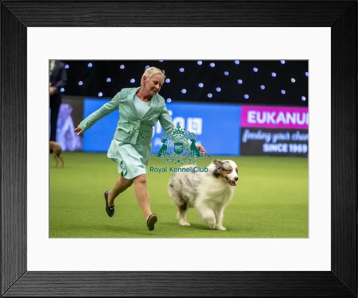 Framed Print : Crufts 2019 - Day One, NEC, UK - 7 Mar 2019