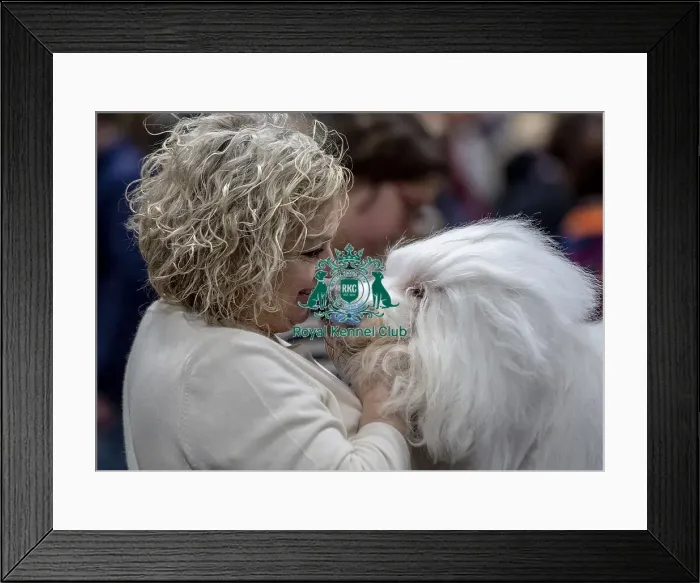 Framed Print : Crufts 2019 - Day Two, NEC, UK - 8 Mar 2019 Framed Print : Crufts 2019 - Day Two, NEC, UK - 8 Mar 2019