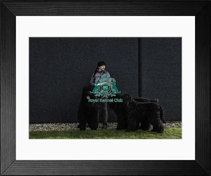 Framed Print : Crufts 2019 - Day Two, NEC, UK - 8 Mar 2019 Framed Print : Crufts 2019 - Day Two, NEC, UK - 8 Mar 2019