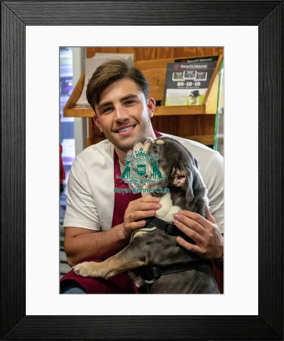 Framed Print : Crufts 2019 - Day Two, NEC, UK - 8 Mar 2019 Framed Print : Crufts 2019 - Day Two, NEC, UK - 8 Mar 2019