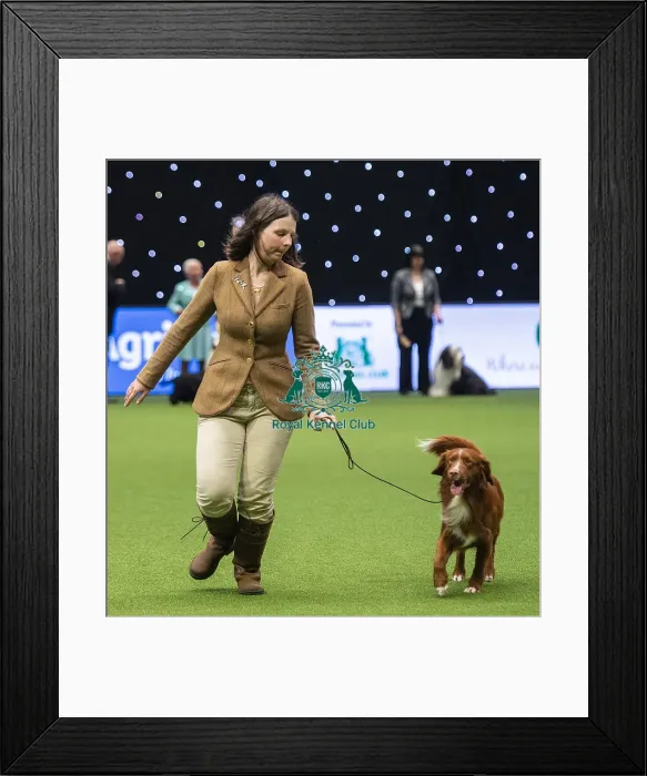 Framed Print : Crufts 2019 - Day One, NEC, UK - 7 Mar 2019
