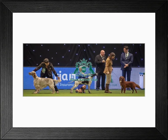 Framed Print : Crufts 2019 - Day One, NEC, UK - 7 Mar 2019