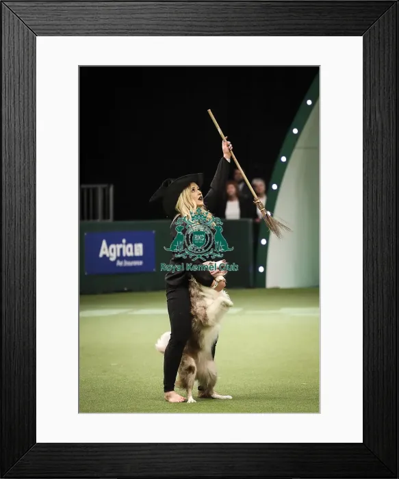 Framed Print : Crufts 2019 - Day Two, NEC, UK - 8 Mar 2019 Framed Print : Crufts 2019 - Day Two, NEC, UK - 8 Mar 2019