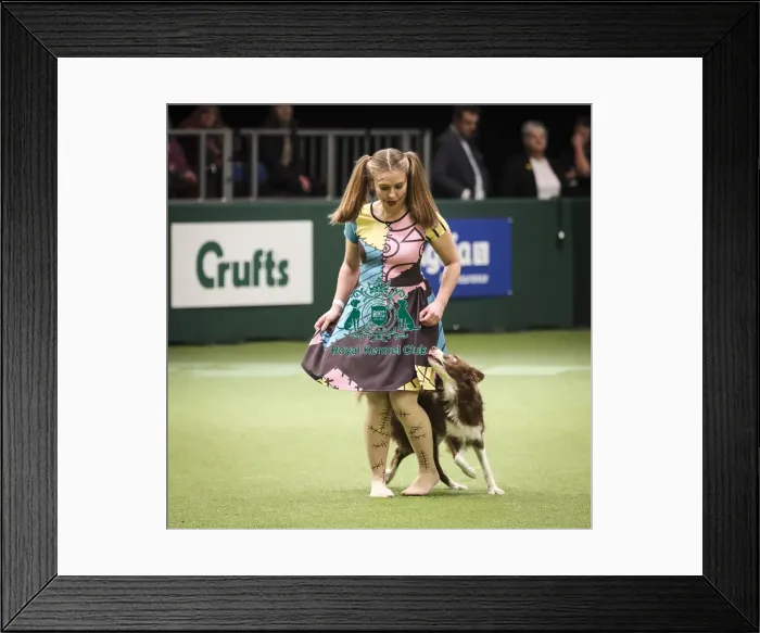 Framed Print : Crufts 2019 - Day Two, NEC, UK - 8 Mar 2019 Framed Print : Crufts 2019 - Day Two, NEC, UK - 8 Mar 2019
