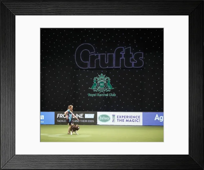 Framed Print : Crufts 2019 - Day Two, NEC, UK - 8 Mar 2019 Framed Print : Crufts 2019 - Day Two, NEC, UK - 8 Mar 2019