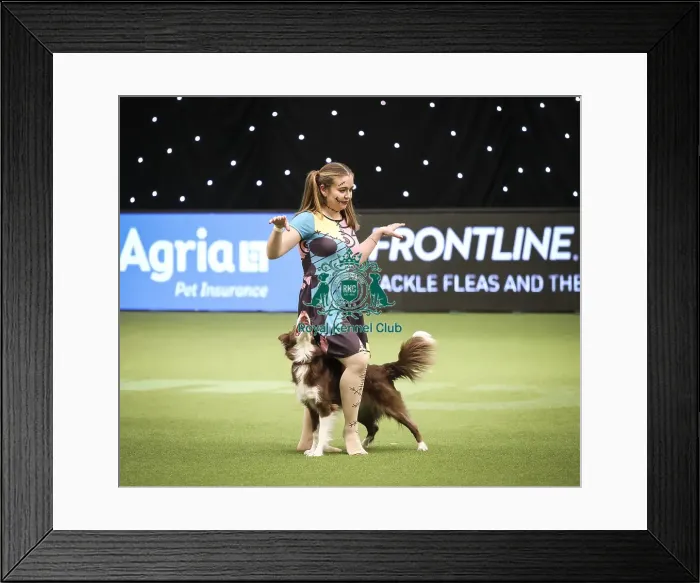 Framed Print : Crufts 2019 - Day Two, NEC, UK - 8 Mar 2019