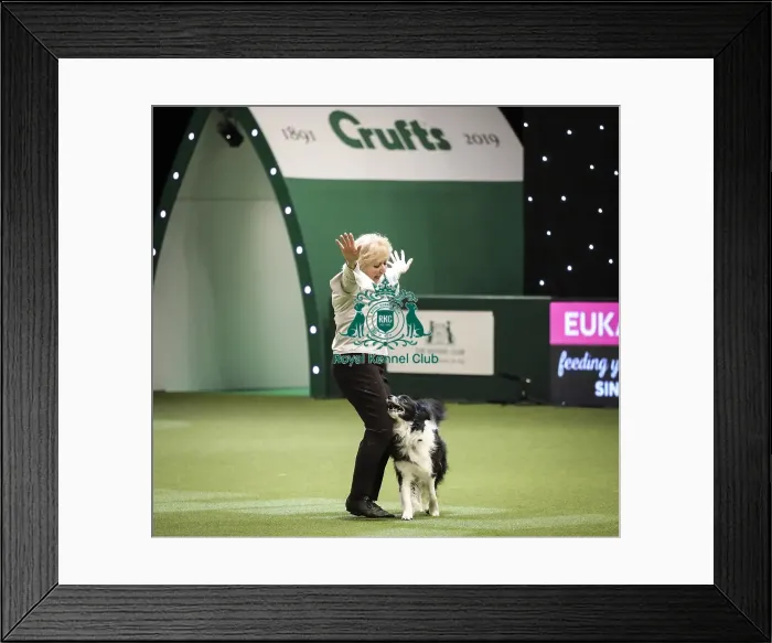 Framed Print : Crufts 2019 - Day Two, NEC, UK - 8 Mar 2019