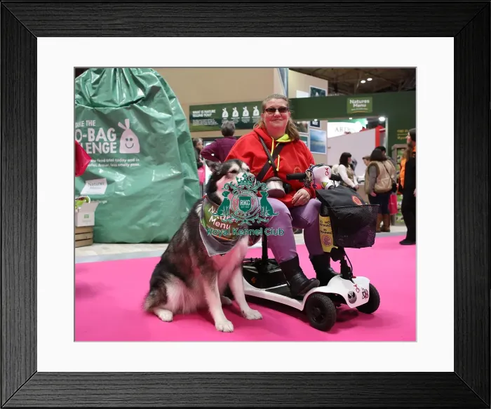 Framed Print : Crufts 2019 - Day Two, NEC, UK - 8 Mar 2019