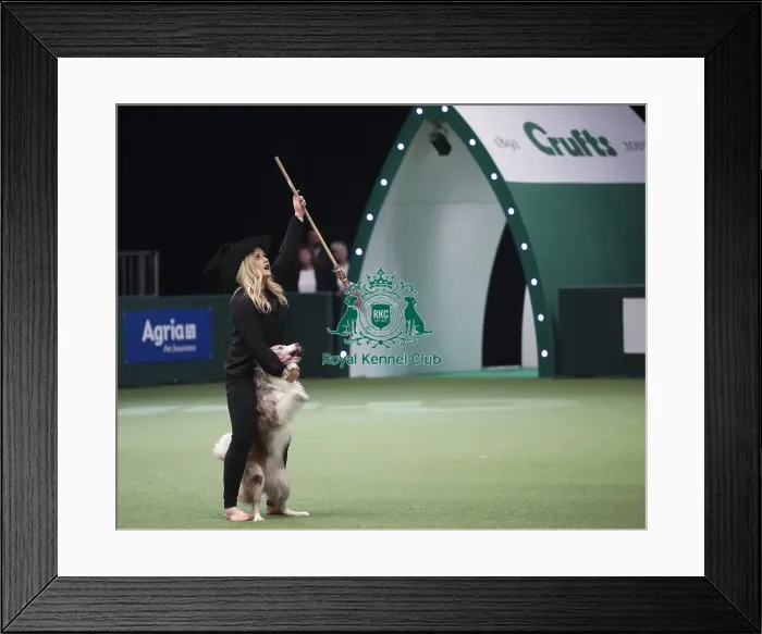 Framed Print : Crufts 2019 - Day Two, NEC, UK - 8 Mar 2019 Framed Print : Crufts 2019 - Day Two, NEC, UK - 8 Mar 2019