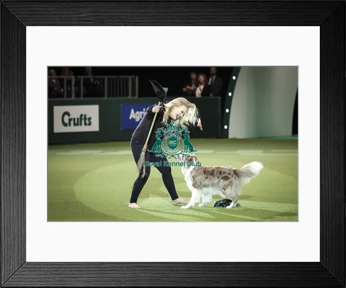 Framed Print : Crufts 2019 - Day Two, NEC, UK - 8 Mar 2019 Framed Print : Crufts 2019 - Day Two, NEC, UK - 8 Mar 2019