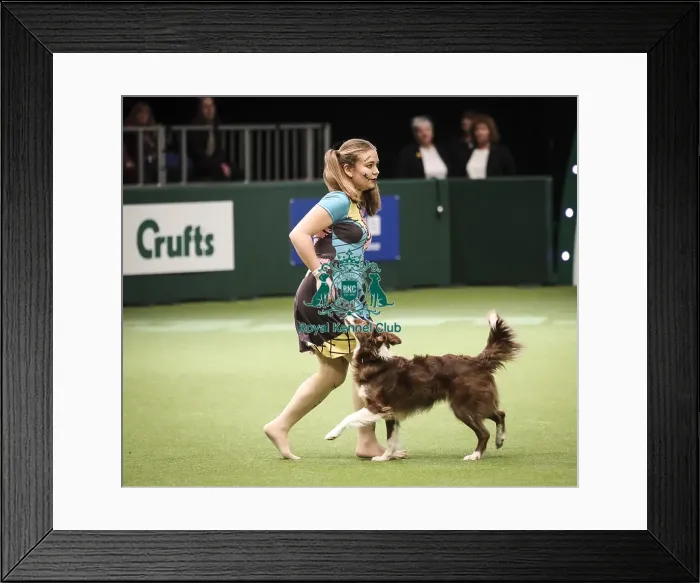 Framed Print : Crufts 2019 - Day Two, NEC, UK - 8 Mar 2019 Framed Print : Crufts 2019 - Day Two, NEC, UK - 8 Mar 2019
