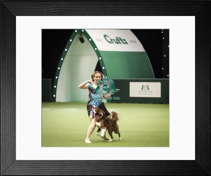 Framed Print : Crufts 2019 - Day Two, NEC, UK - 8 Mar 2019 Framed Print : Crufts 2019 - Day Two, NEC, UK - 8 Mar 2019