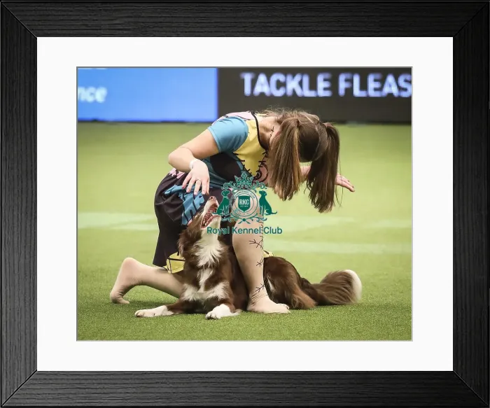 Framed Print : Crufts 2019 - Day Two, NEC, UK - 8 Mar 2019 Framed Print : Crufts 2019 - Day Two, NEC, UK - 8 Mar 2019