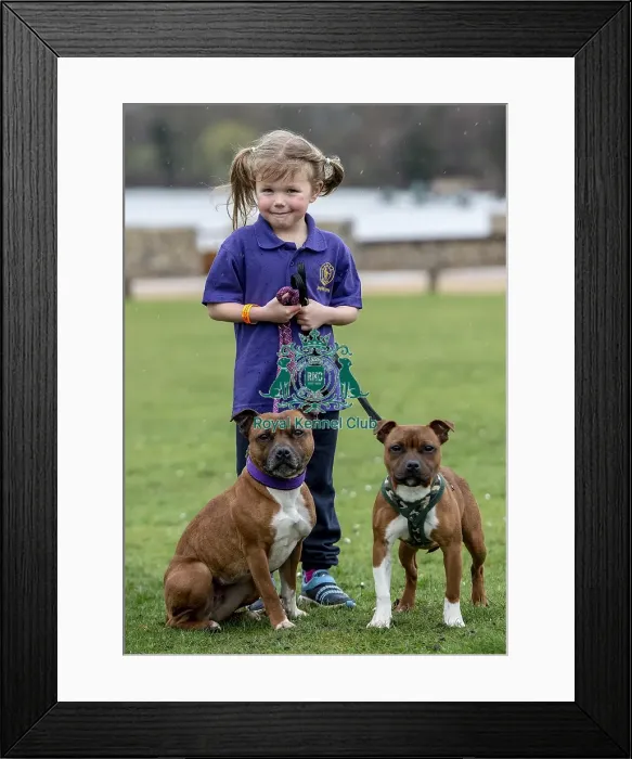 Framed Print : Crufts 2019 - Day One, NEC, UK - 7 Mar 2019 Framed Print : Crufts 2019 - Day One, NEC, UK - 7 Mar 2019