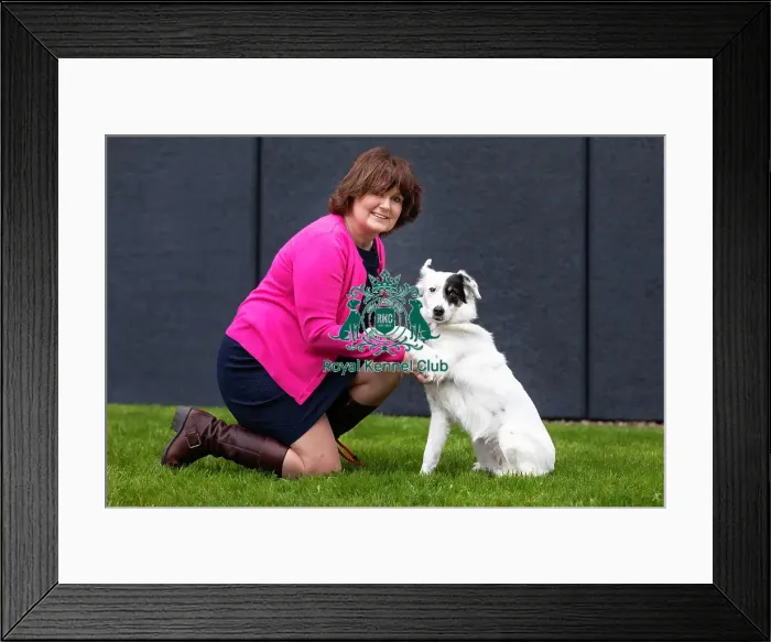 Framed Print : Crufts 2019 - Day One, NEC, UK - 7 Mar 2019 Framed Print : Crufts 2019 - Day One, NEC, UK - 7 Mar 2019
