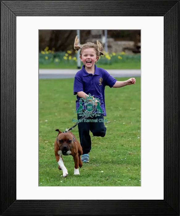 Framed Print : Crufts 2019 - Day One, NEC, UK - 7 Mar 2019 Framed Print : Crufts 2019 - Day One, NEC, UK - 7 Mar 2019