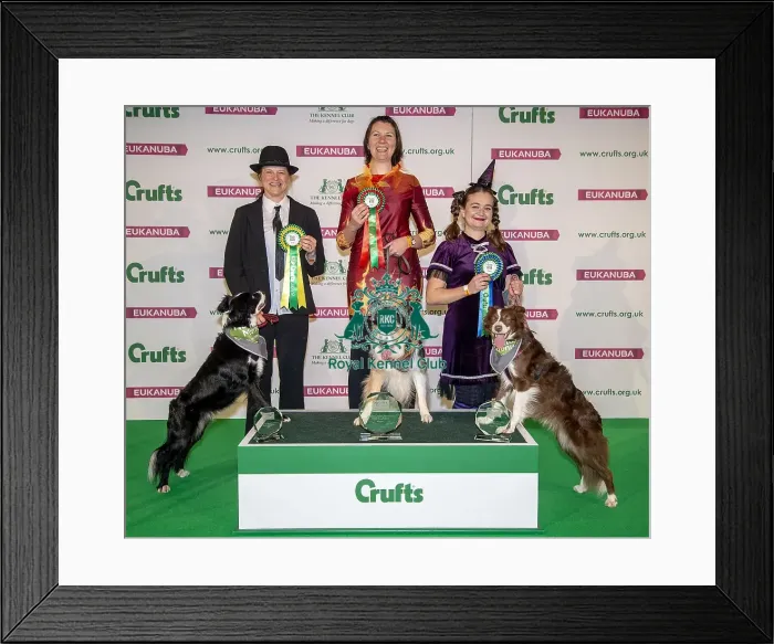 Framed Print : Crufts 2019 - Day One, NEC, UK - 7 Mar 2019 Framed Print : Crufts 2019 - Day One, NEC, UK - 7 Mar 2019