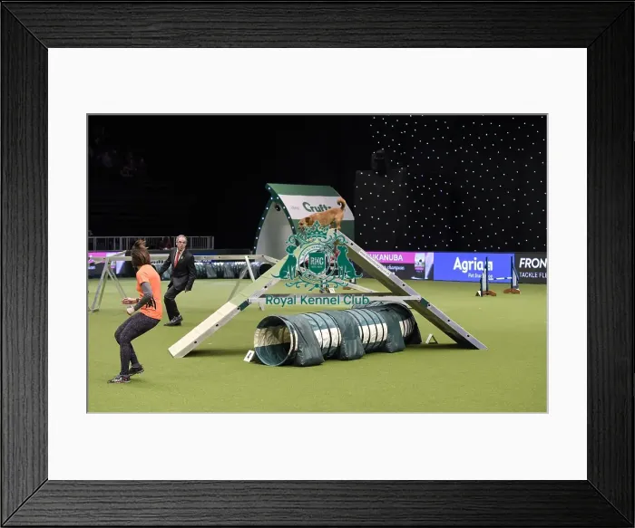 Framed Print : Crufts 2019 - Day Two, NEC, UK - 8 Mar 2019 Framed Print : Crufts 2019 - Day Two, NEC, UK - 8 Mar 2019