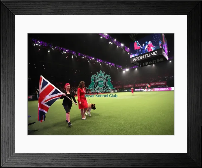 Framed Print : Crufts 2019 - Day One, NEC, UK - 7 Mar 2019 Framed Print : Crufts 2019 - Day One, NEC, UK - 7 Mar 2019