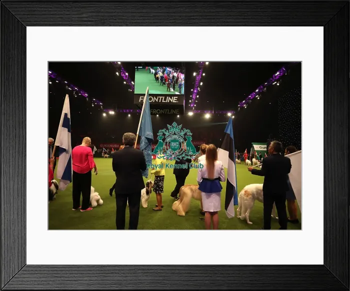 Framed Print : Crufts 2019 - Day One, NEC, UK - 7 Mar 2019 Framed Print : Crufts 2019 - Day One, NEC, UK - 7 Mar 2019