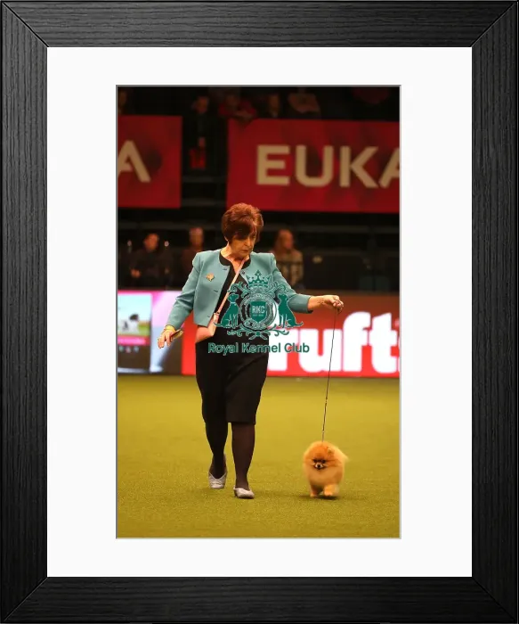 Framed Print : Crufts 2019 - Day One, NEC, UK - 7 Mar 2019