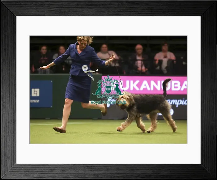 Framed Print : Crufts 2019 - Day One, NEC, UK - 7 Mar 2019 Framed Print : Crufts 2019 - Day One, NEC, UK - 7 Mar 2019