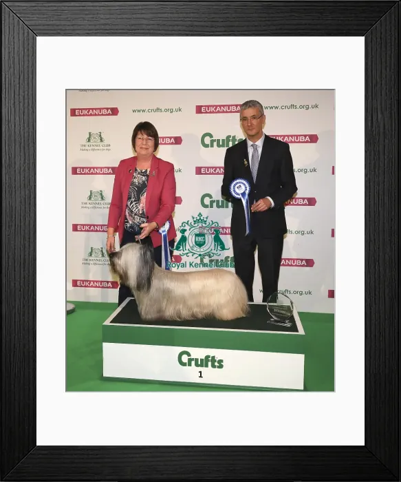 Framed Print : Crufts 2019 - Day One, NEC, UK - 7 Mar 2019 Framed Print : Crufts 2019 - Day One, NEC, UK - 7 Mar 2019