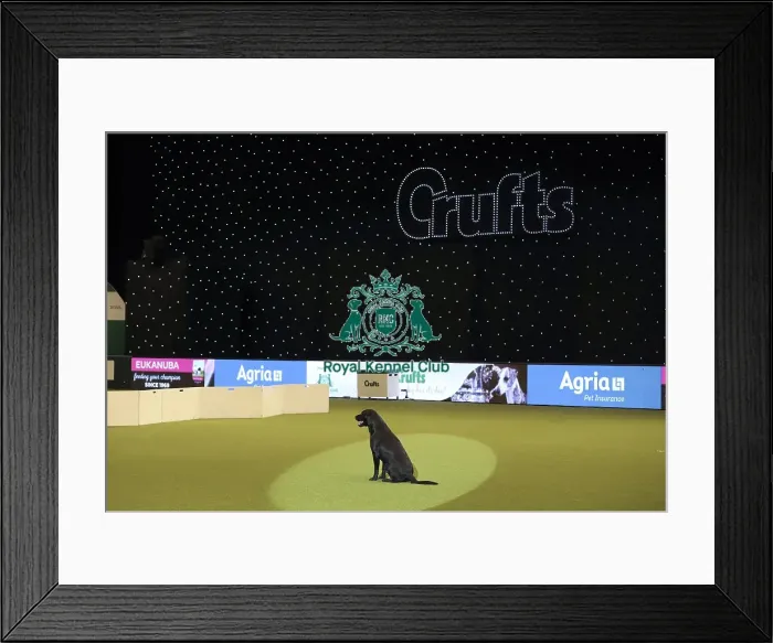 Framed Print : Crufts 2019 - Day One, NEC, UK - 7 Mar 2019