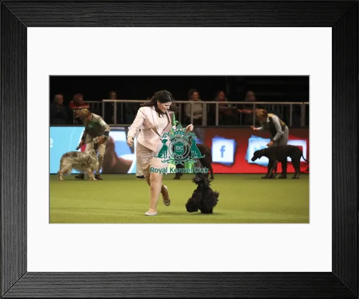 Framed Print : Crufts 2019 - Day One, NEC, UK - 7 Mar 2019