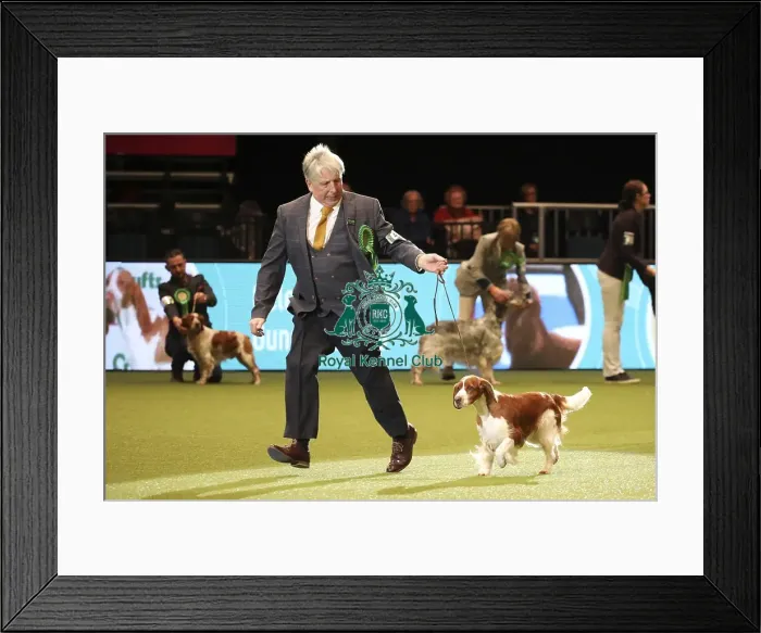 Framed Print : Crufts 2019 - Day One, NEC, UK - 7 Mar 2019