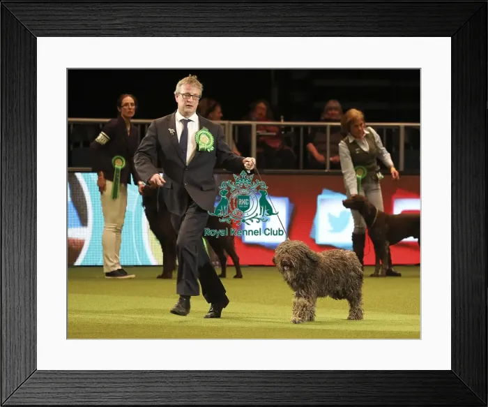 Framed Print : Crufts 2019 - Day One, NEC, UK - 7 Mar 2019 Framed Print : Crufts 2019 - Day One, NEC, UK - 7 Mar 2019