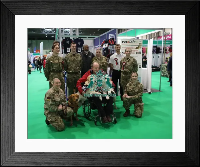 Framed Print : Crufts 2019 - Day Two, NEC, UK - 8 Mar 2019 Framed Print : Crufts 2019 - Day Two, NEC, UK - 8 Mar 2019