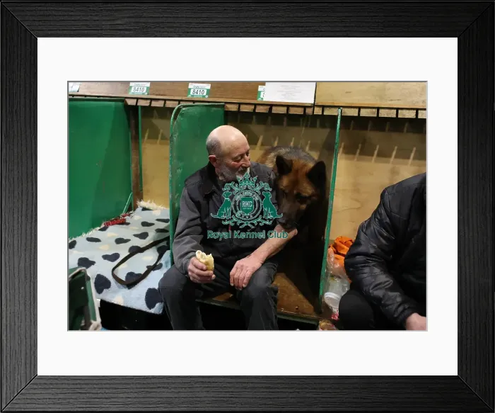 Framed Print : Crufts 2019 - Day Two, NEC, UK - 8 Mar 2019