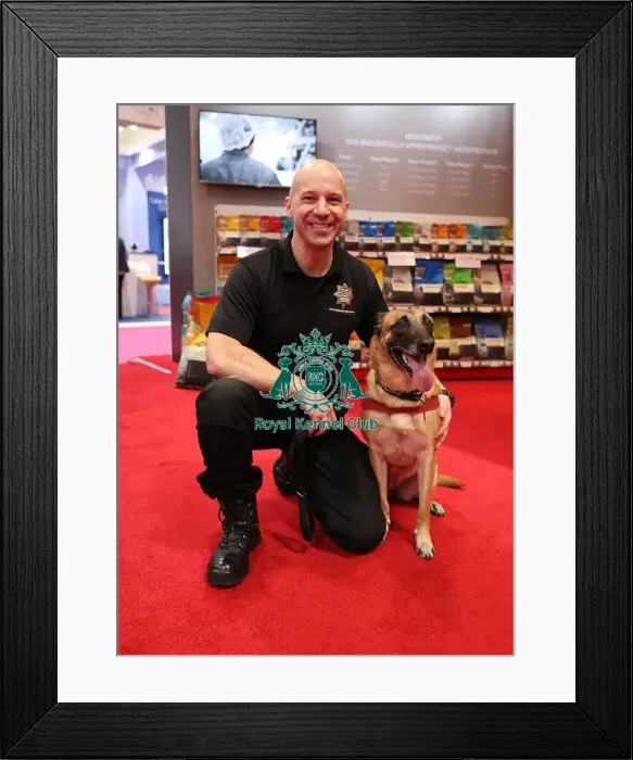 Framed Print : Crufts 2019 - Day Two, NEC, UK - 8 Mar 2019 Framed Print : Crufts 2019 - Day Two, NEC, UK - 8 Mar 2019