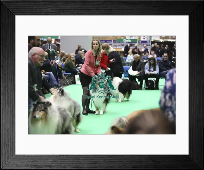 Framed Print : Crufts 2019 - Day Two, NEC, UK - 8 Mar 2019 Framed Print : Crufts 2019 - Day Two, NEC, UK - 8 Mar 2019