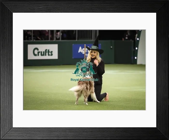 Framed Print : Crufts 2019 - Day Two, NEC, UK - 8 Mar 2019 Framed Print : Crufts 2019 - Day Two, NEC, UK - 8 Mar 2019