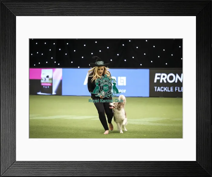 Framed Print : Crufts 2019 - Day Two, NEC, UK - 8 Mar 2019 Framed Print : Crufts 2019 - Day Two, NEC, UK - 8 Mar 2019
