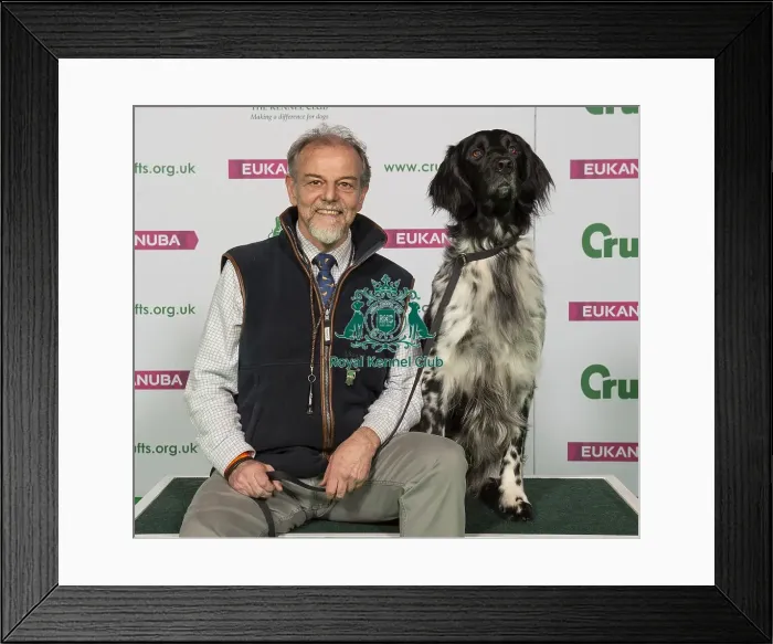 Framed Print : Crufts 2019 - Best of Breed / Gundog Framed Print : Crufts 2019 - Best of Breed / Gundog