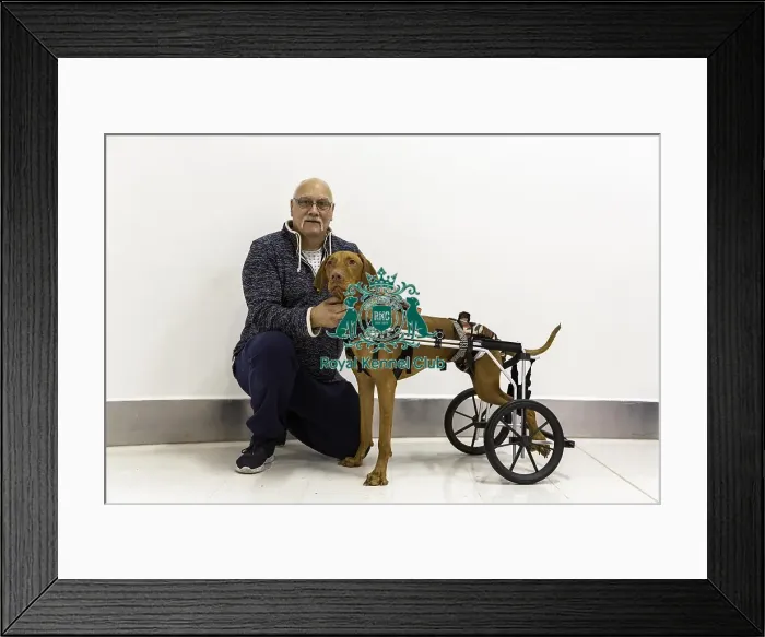 Framed Print : Crufts 2019 - Day One, NEC, UK - 7 Mar 2019 Framed Print : Crufts 2019 - Day One, NEC, UK - 7 Mar 2019