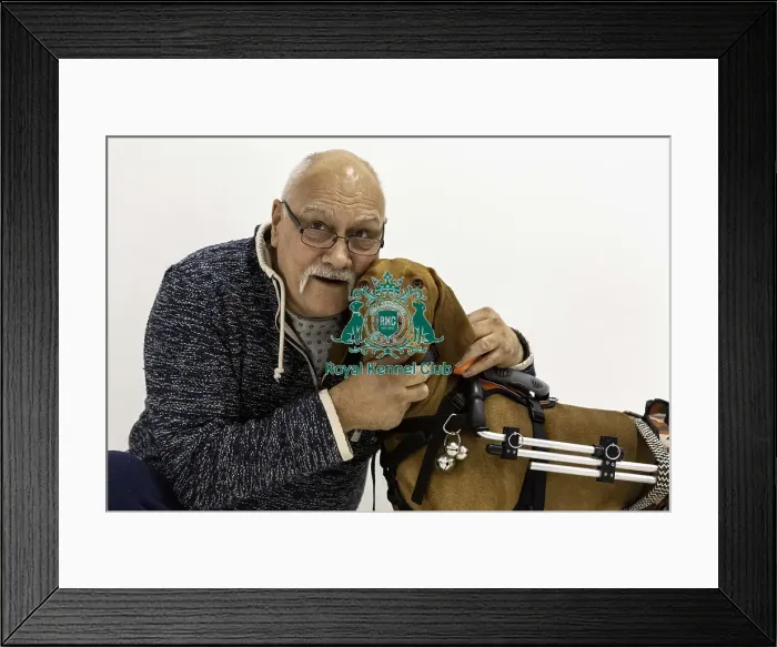 Framed Print : Crufts 2019 - Day One, NEC, UK - 7 Mar 2019 Framed Print : Crufts 2019 - Day One, NEC, UK - 7 Mar 2019