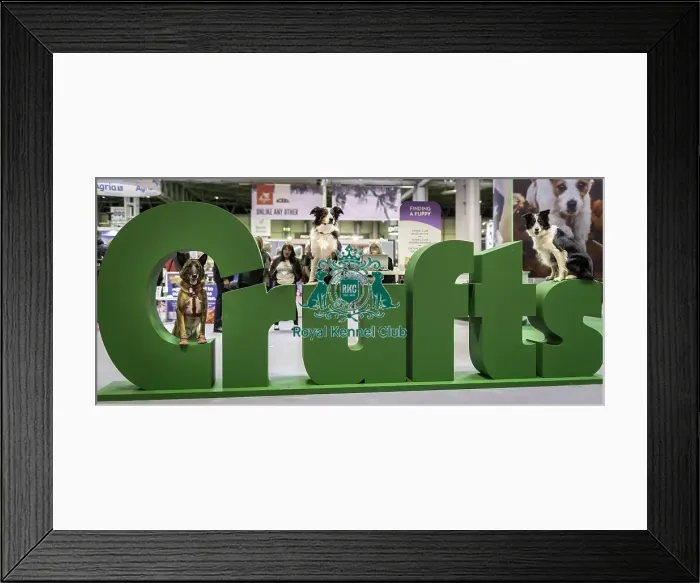 Framed Print : Crufts 2019 - Day One, NEC, UK - 7 Mar 2019 Framed Print : Crufts 2019 - Day One, NEC, UK - 7 Mar 2019
