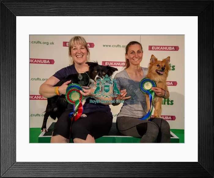 Framed Print : Crufts 2019 - Day One, NEC, UK - 7 Mar 2019 Framed Print : Crufts 2019 - Day One, NEC, UK - 7 Mar 2019